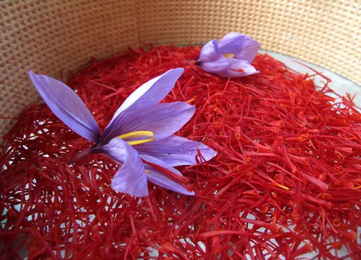 Saffron-Img