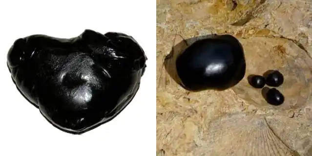 Shilajit